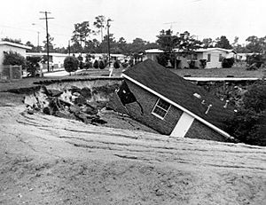 300x231_03162123_gesu0139 Florida Sinkhole Insurance