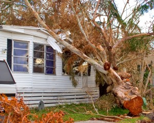 File Florida Insurance Claim