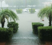 Permalink to Hurricane Victims: Read This Before You Settle Your Insurance Claim!