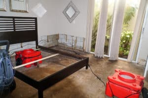 Boca Raton Water and Mold Damage