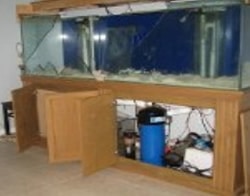 Fish Tank - Water Damage Insurance Claim