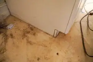 Sewer Line Back up Highland Beach