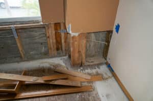 Hurricane Irma Water Damage