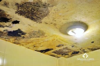 Mold Damage Insurance Claims