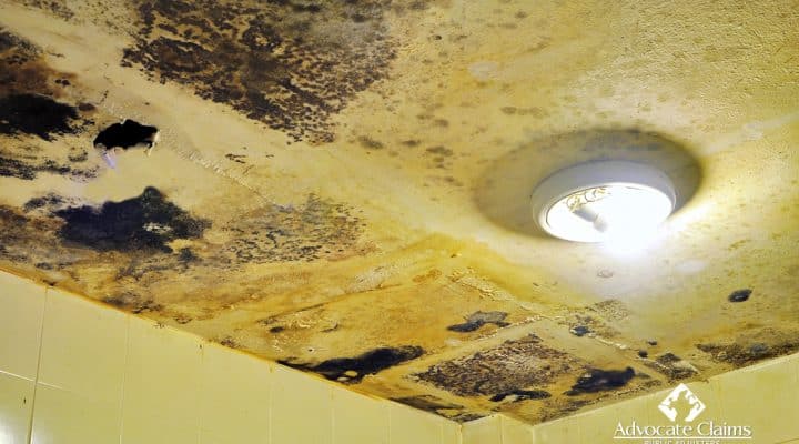 Mold Damage Insurance Claims