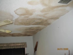 mold-on-ceiling