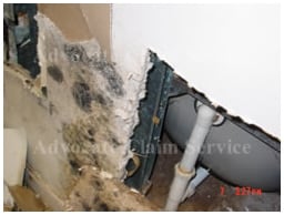 Toxic Mold Insurance Claims