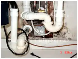Toxic Mold Insurance Claims