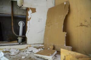 Water Damage & Mold Oakland Park